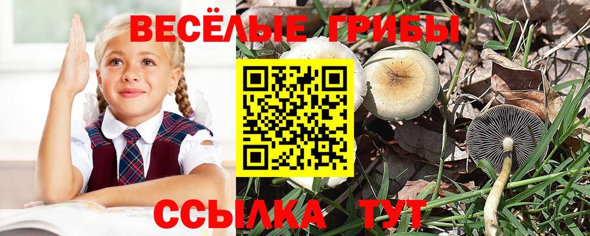 Галлюциногенные грибы мицелий Буйнакск