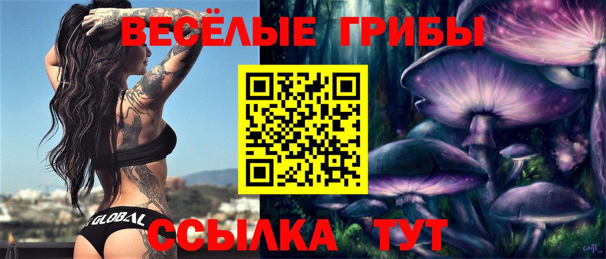 Псилоцибиновые грибы Magic Shrooms  Вход с VPN  Буйнакск 